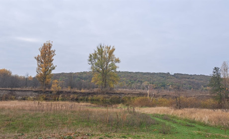 Без заморозків, але з дощами: якою буде погода у Гадячі цього тижня