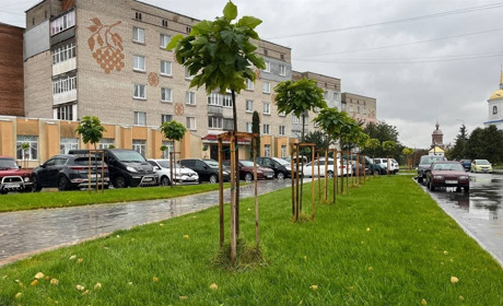 Погода в Барі на тиждень: прогноз на 18–24 листопада