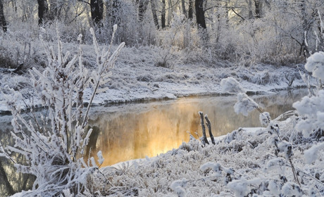 Якої погоди чекати мешканцям Сватового і району з 15 по 21 лютого 2021: прогноз на тиждень