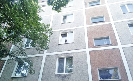 У Вараші врятували кота, який застряг у вікні