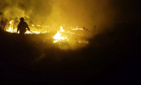 В житловому будинку на Звягельщині пожежа знищила покрівлю