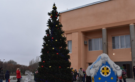 Фоторепортаж: у Нижніх Сірогозах відкрили головну ялинку селища 