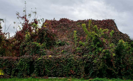 Житло своєї мрії: чи просто в Кагарлику придбати будинок або квартиру