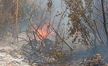 Через необережне поводження з вогнем у Городоцькій громаді за три дні сталося дві пожежі
