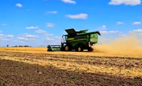Під пекучим сонцем і вогнем: як жнивує Херсонщина