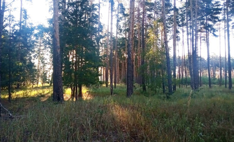 Щоденний дайджест від Золотоноша.City: зустрічаємо новий день – 11 вересня 2021 року