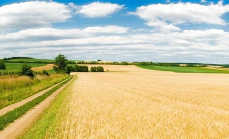 Землю – громадам: Уряд затвердив постанову про передачу земель у власність ОТГ