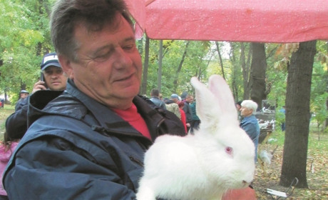 Царь и Ушастик дружат с человеком. Почему кролики – это не только ценный мех?