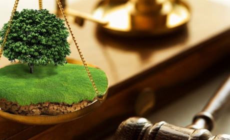 Двічі приватизувала землю: жительку Сарненщини обвинувачують у шахрайстві