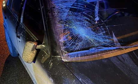 У Шостці 24-річна водійка збила пішохода на переході: 59-річний чоловік у лікарні