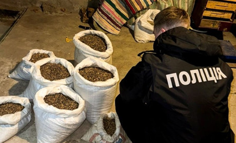 Скуповували і перепродавали «сонячне каміння»: на Сарненщині судитимуть нелегальних бізнесменів