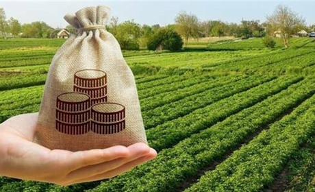 Нові податки для землевласників