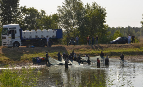Адмінсуд зупинив ліквідацію Новокаховського рибозаводу