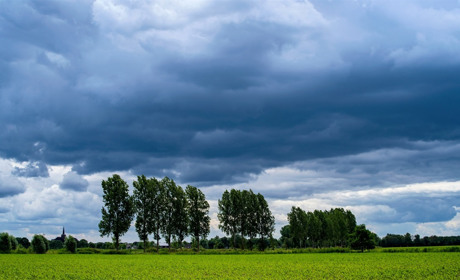 Погода в Кагарлику та Ржищеві із 16 по 22 червня