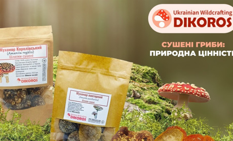 Чому сушені гриби залишаються одним із найцінніших форматів зберігання?