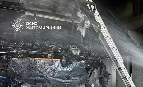 Пожежа у Звягелі: згорів вантажний автомобіль DAF