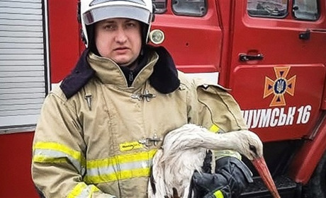 На Кременеччині рятувальники визволяли лелеку