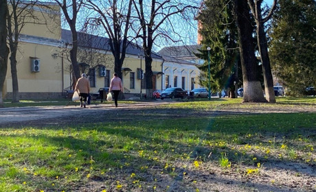 Якби міська влада Краснограда мала б свій Instagram, чи підписались ви? Результати опитування містян