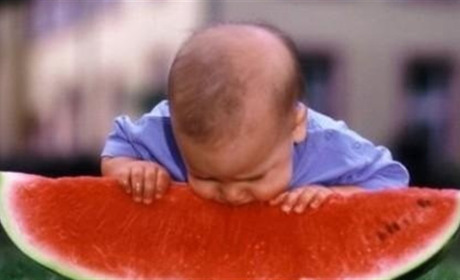 Ранні кавуни: сім разів відміряй, ніж один раз відріж