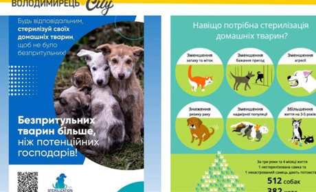 У Старій Рафалівці працюватимуть ветеринари два дні – стерилізуватимуть тварин