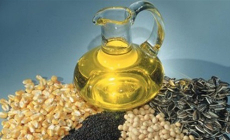 Что известно о масличных культурах