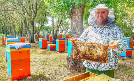 Олексій Тягун: Після війни вирішив займатися мирною справою - бджільництвом