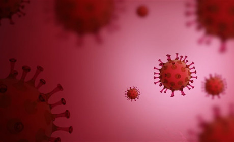 Дані на 28 серпня. Володимиреччина: 75 хворіє, 131 одужали, Вараш – 82 хворіє, 228 одужали