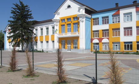 В Мелитополе возле отреставрированной школы погибают молодые кусты можжевельника