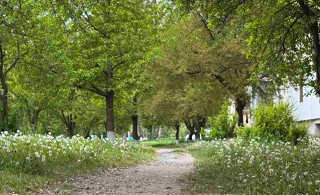Погода у Старокостянтинові на 11-17 травня: сонце зникне на кілька днів