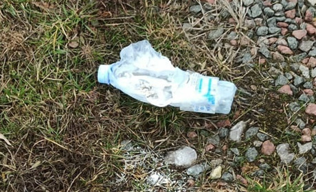 До чого призводять небезпечні розваги з соцмереж: двоє підлітків Білопільщини - у полі зору поліції