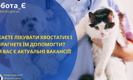 Бажаєте лікувати хвостатих і прагнете їм допомогти? Для вас є актуальні вакансії!