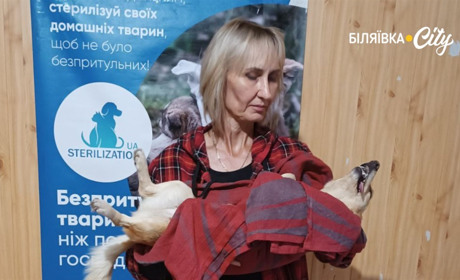 У Біляївці знову діє проєкт з безкоштовної стерилізації тварин, не лише безпритульних: йде запис