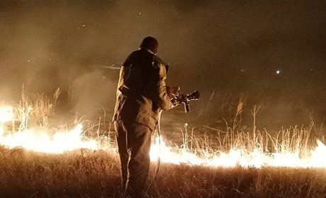 Збиток від пожеж в Троїцькому склав 80 тисяч гривень: обійшлося без людських жертв