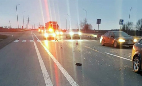 Смертельна ДТП: поблизу с. Наталівки автівка збила велосипедиста