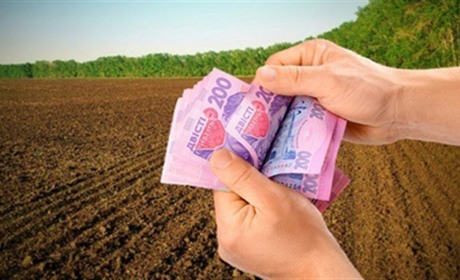 Є три корови і більше гектара землі? Отримайте гроші від держави!