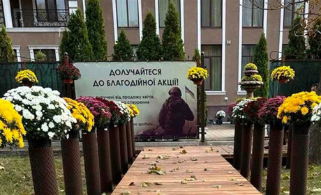 Благодійний аукціон рідкісних хризантем у П'ятихатках: збір коштів на монумент зниклим героям