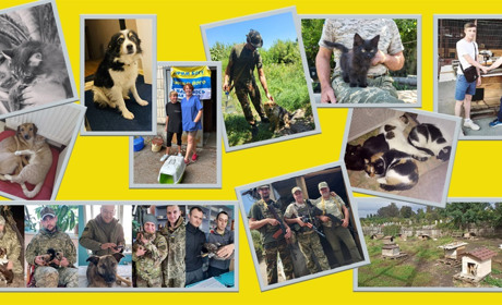 Поєднані великими серцями та однією метою: як небайдужі люди рятують тварин на Білопільщині