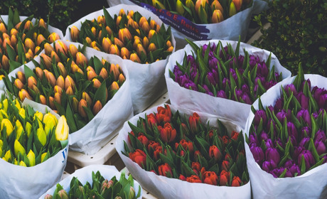 Яскраві квіти з доставкою в Кагарлику – як вдало замовити послугу?