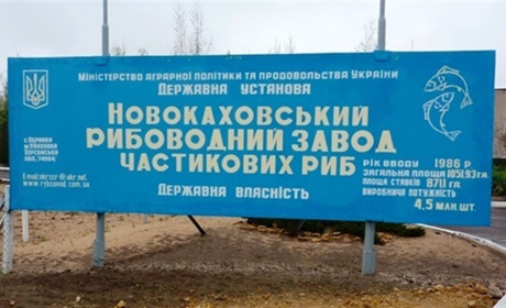 Новокаховський рибозавод хочуть ліквідувати