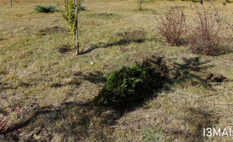 В Измаиле опять обокрали Корабельный сквер, городская власть обратилась за помощью к измаильчанам