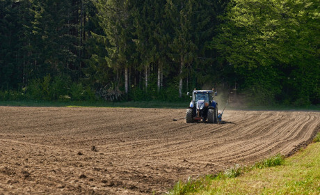 Цьогорічні норми посівної на Тернопільщині планують перевиконати