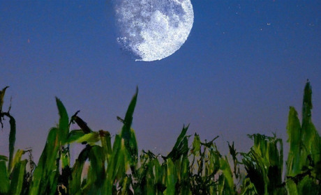 Увага, небо готує шоу: коли і що спостерігати 7 вересня 2025