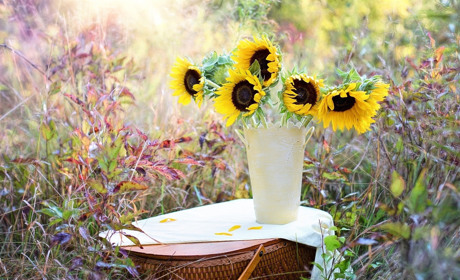 Якою буде погода у Сватовому і районі з 9 по 15 вересня: прогноз погоди на тиждень