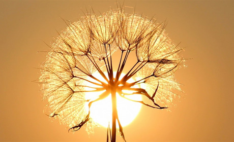 Через спеку на Луганщині оголосили червоний рівень небезпеки: що мають знати мешканці Сватівщини