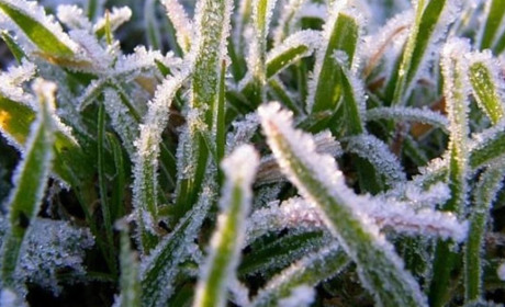 На Київщині цієї ночі очікуються перші заморозки