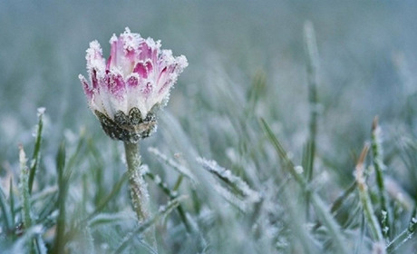 На Сумщину ідуть дощі та нічні заморозки до мінус п'яти: прогноз погоди