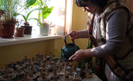 Жителі села Міжлісся для захисників роблять окопні свічки та плетуть маскувальні сітки