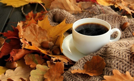 Погода на Сумщині та в Україні: що прогнозують синоптики в найближчі дні