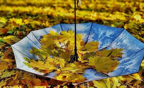 Листопад 2025: церковні та державні свята місяця