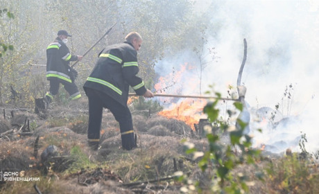 У Сарненському районі майже сотня рятувальників гасить загоряння трави: що відомо